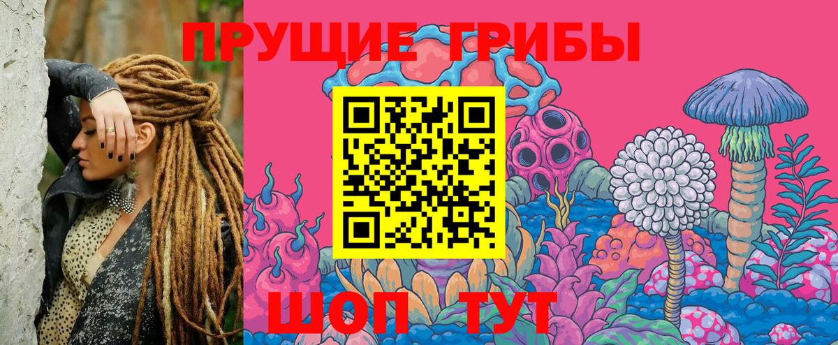 Киселёвск  Галлюциногенные грибы ЛСД  купить   Псилоцибиновые грибы GOLDEN TEACHER  Вход с VPN 