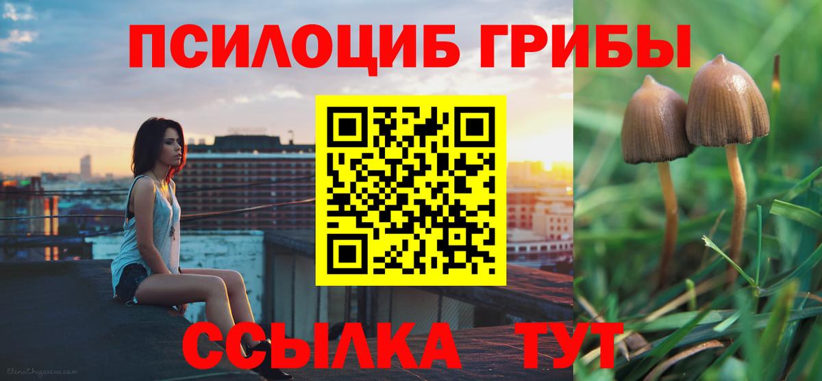Галлюциногенные грибы MAGIC MUSHROOMS Киселёвск